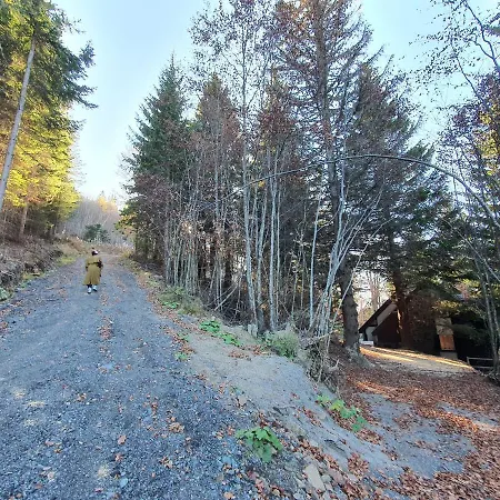 Pavlovic * Kopaonik