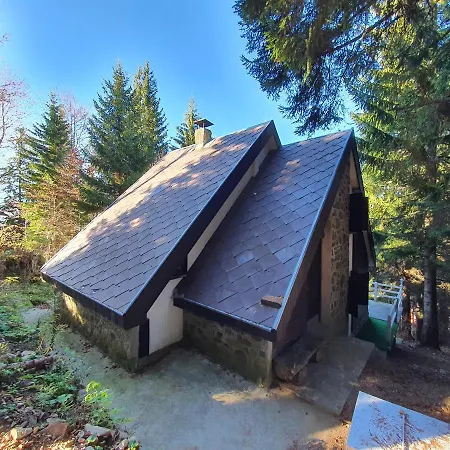 Pavlovic Prázdninový dům Kopaonik