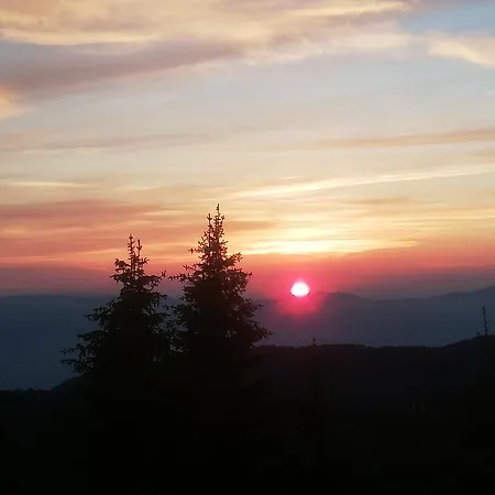 Pavlovic Prázdninový dům *