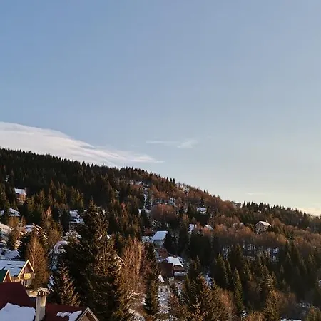 Σπίτι διακοπών Pavlovic Κοπαόνικ