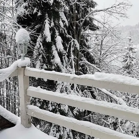 Vakantiehuis Pavlovic Kopaonik