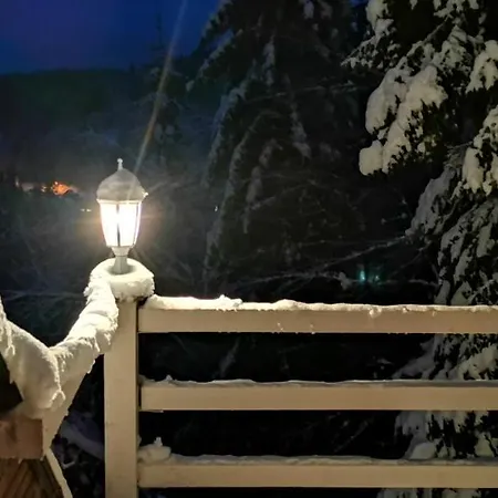 Pavlovic Holiday home Kopaonik