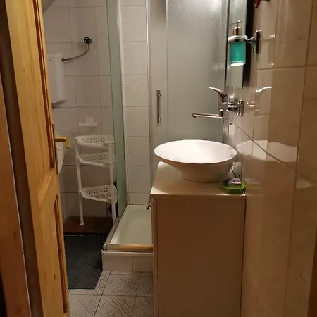 Pavlovic Κοπαόνικ