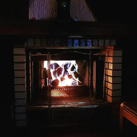 Pavlovic * Κοπαόνικ