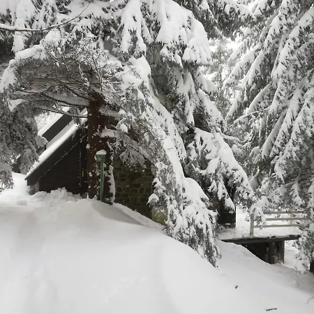 Σπίτι διακοπών Pavlovic Κοπαόνικ