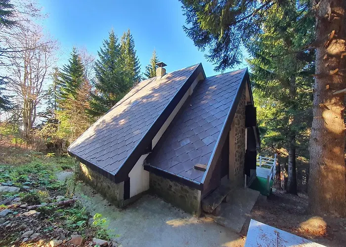 Pavlovic Feriehus Kopaonik