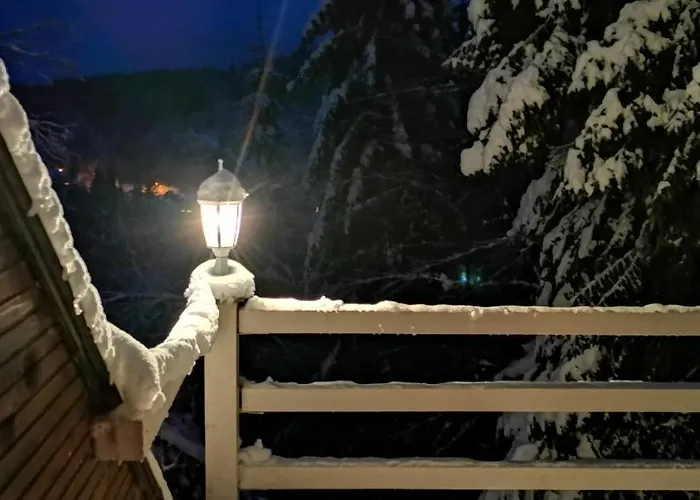 Pavlovic Feriehus Kopaonik