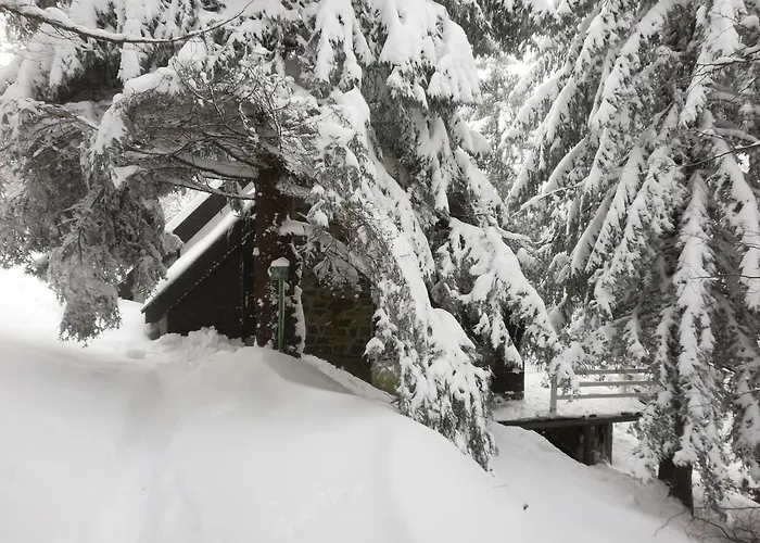 Feriehus Pavlovic Kopaonik